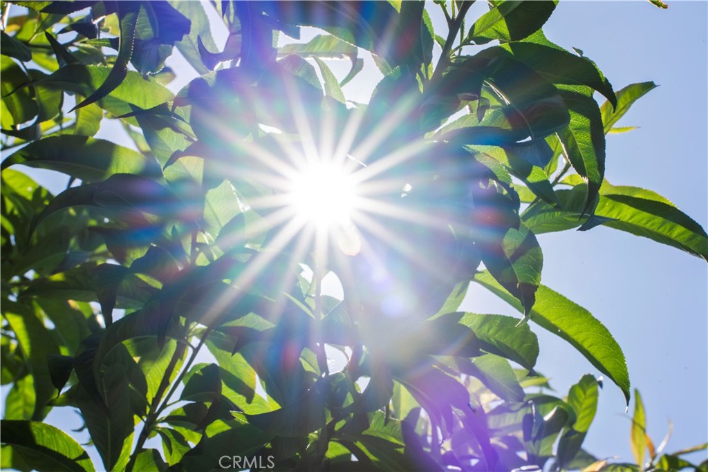 Village Homes (VGHM) - Residential