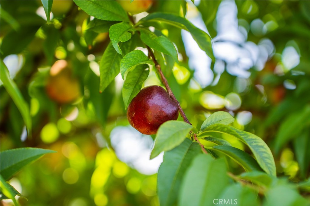 Village Homes (VGHM) - Residential