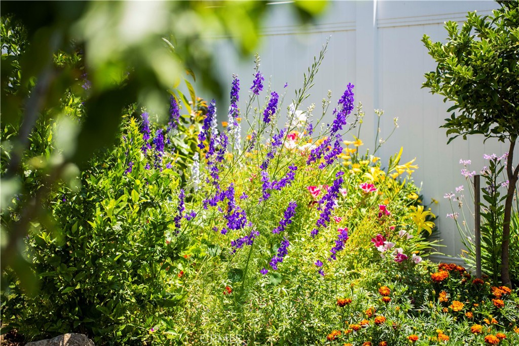 Village Homes (VGHM) - Residential