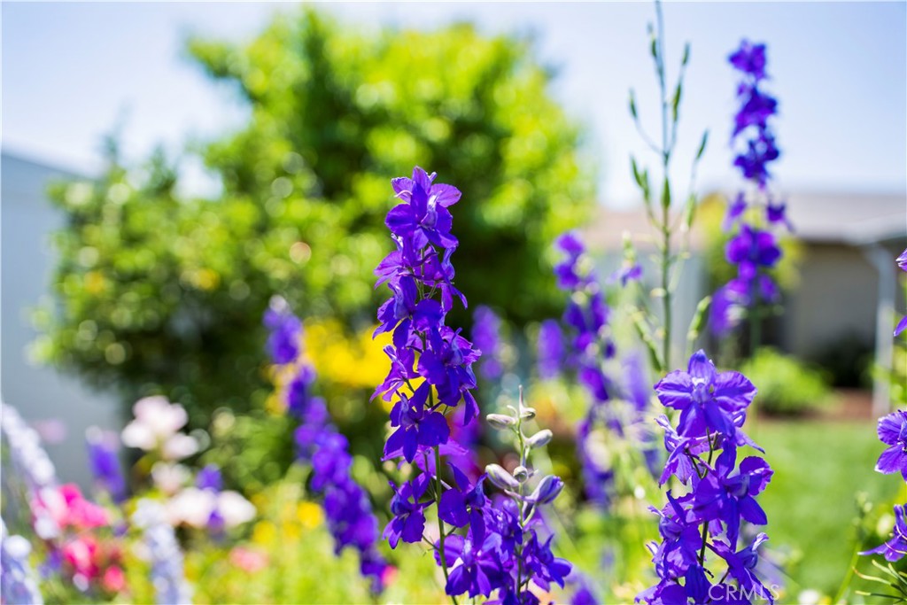 Village Homes (VGHM) - Residential