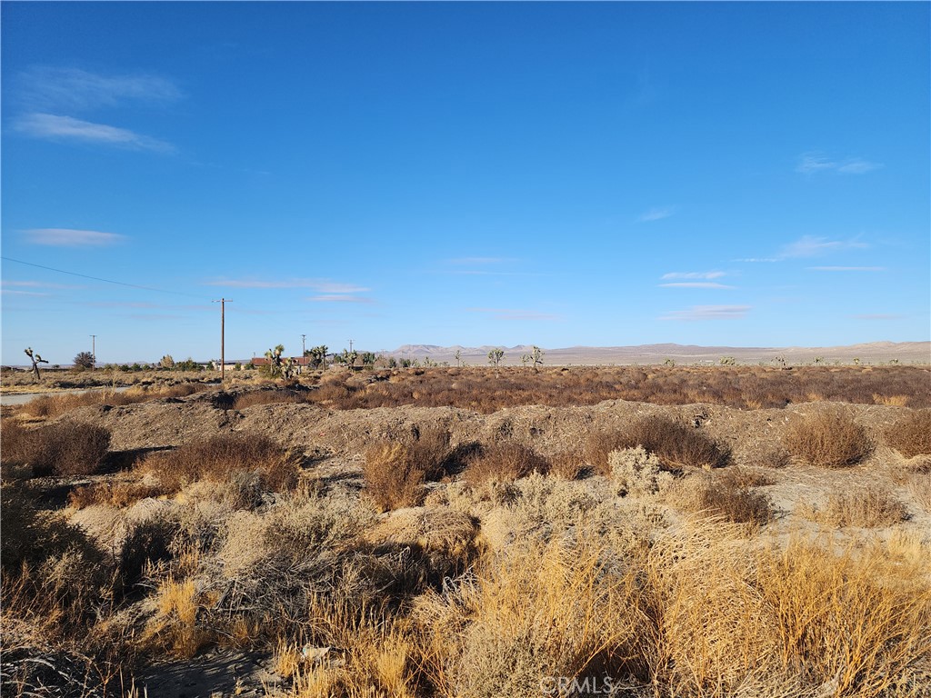 10000 El Mirage Road