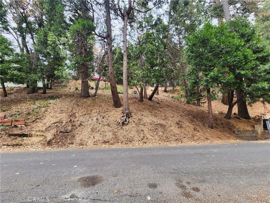 Gorgeous San Moritz area lot with dual access on Horst Drive and private access road above. The dual access allows more building options and potentially more parking.  Beautiful woodsy setting with large pines, cedars and oaks all around. Located just a short distance to popular Lake Gregory and downtown Crestline Village for shopping, dinning and entertainment. Approx. 7,316 SQ FT of land with all utilities (water,sewer,electric,gas,phone,high speed internet,cable) conveniently located at or near the street. The lot has serene distant ridgeline views and possibly a peak of the lake or filtered lakeview from an upper story. OWNER MAY CARRY WITH REASONABLE DOWNPAYMENT AND TERMS! Don't miss out on this great opportunity to own an affordable lot...make your offer today!