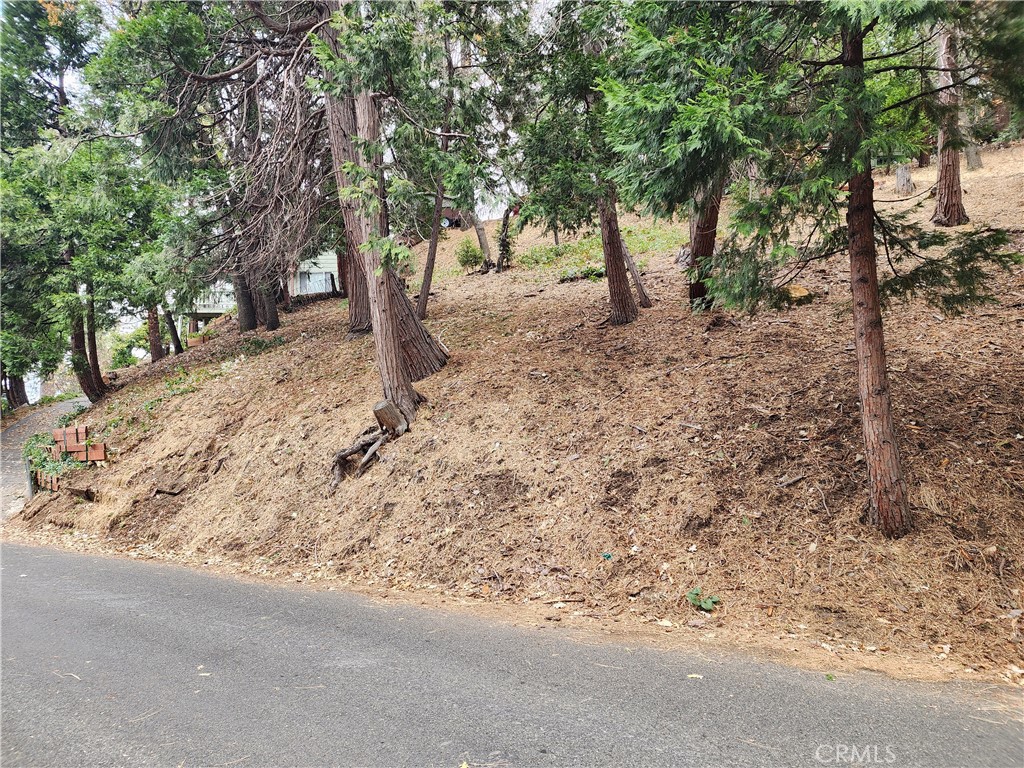 San Moritz (SAMO) - Land