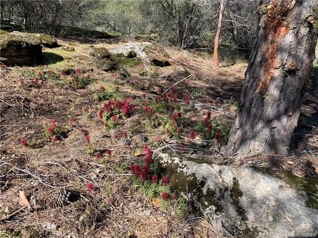 1234 Quartz Mountain