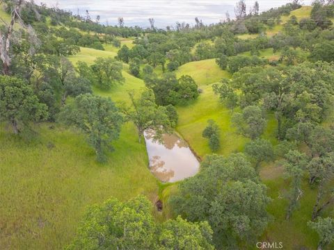 A home in Red Bluff