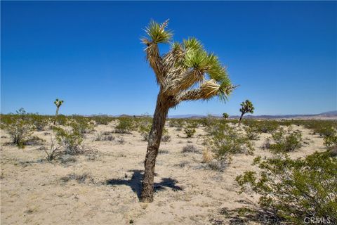 Photo of 2625 Sunset Road, Joshua Tree, CA 92252 (MLS # JT25075215)