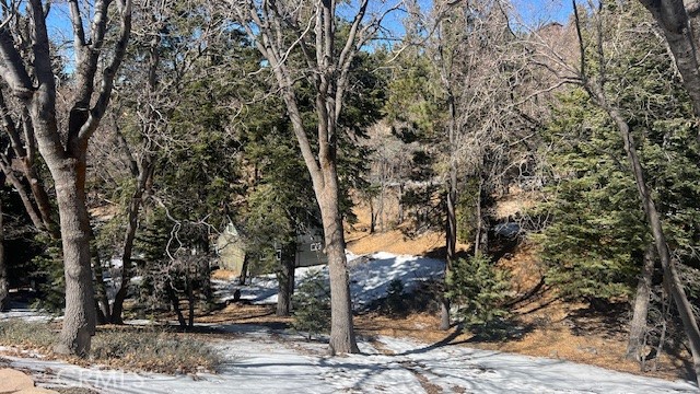 Listing image 5