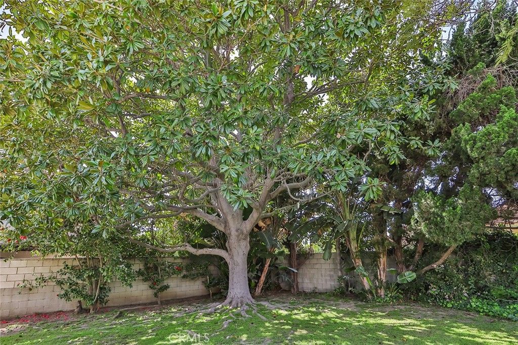 listing image 38