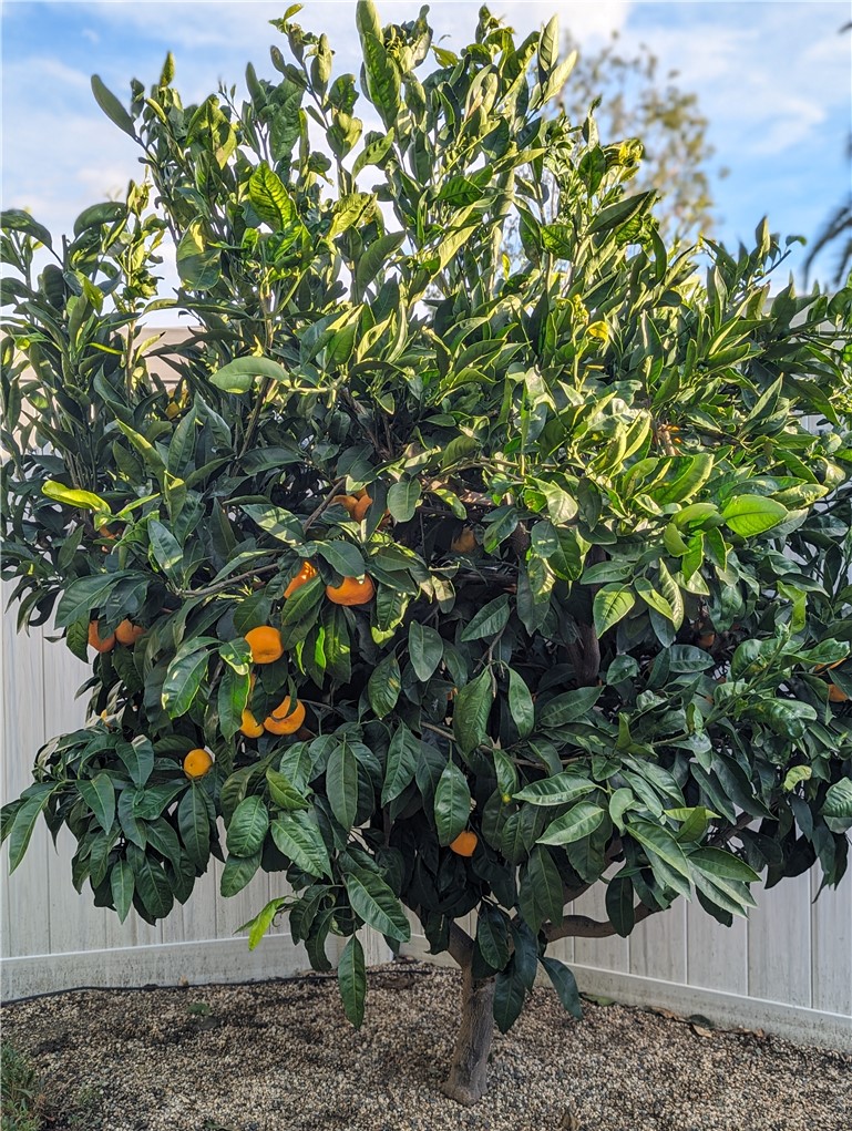 Rancho Alipaz Mobile (RAM) - Manufactured In Park