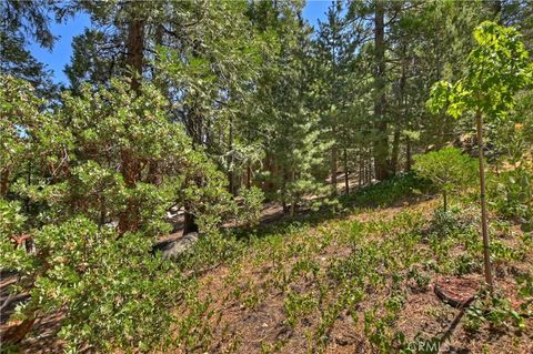 A home in Lake Arrowhead