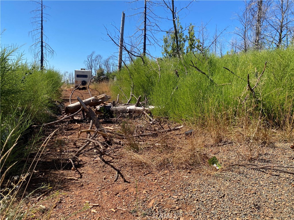 Looking for a camping site to build your new Cabin? Come check out this 5 Acre Parcel with a Well already in place.