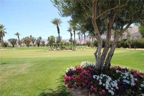 A home in Borrego Springs