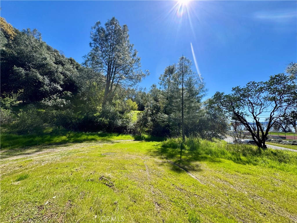 Location! Bring your plans to transform this raw affordable land into your lake home or investment property. Nice topography and plenty of room to build with 27,007 sq. ft. of building space and FIVE adjacent and connecting lots all included as one sale. (APN: 034-242-040-000, 034-242-150-000,034-242-030-000, 034-242-050-000, 034-242-060-000) Moderate downslope with trees and shrubbery throughout property. Located just off highway 20 with close proximity to Clear Lake, easy commuting to Lakeport, Ukiah or Lower Lake areas and close to shopping, restaurants, schools, fishing. Just across the street from Lucerne Elementary, these lots are on a paved road with utilities ready for connection at the street. Come enjoy the lake life & take in all the beauty and peaceful living that Lake County has to offer - home to Clear Lake which is the largest natural lake in California, Tule Elk, more than 150 bird species and fishing doesn't get much better than on the waters of Clear Lake with Bassmaster ranking it as #2 in North America for bass fishing. Lake County is an ultra-premium Winegrape growing area as well with over 35 local wineries. Buyer to confirm all lot lines and utilities available.