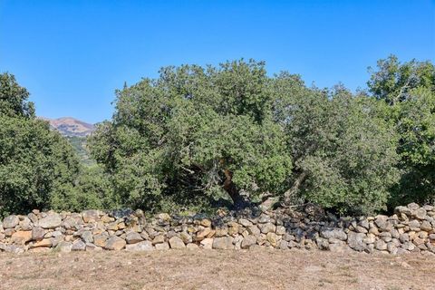 A home in Arroyo Grande