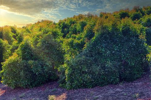 A home in Arroyo Grande