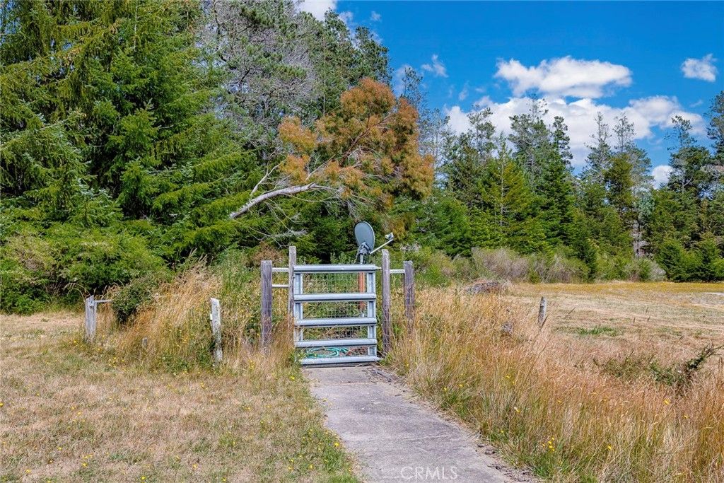 listing image 130723656947156197880