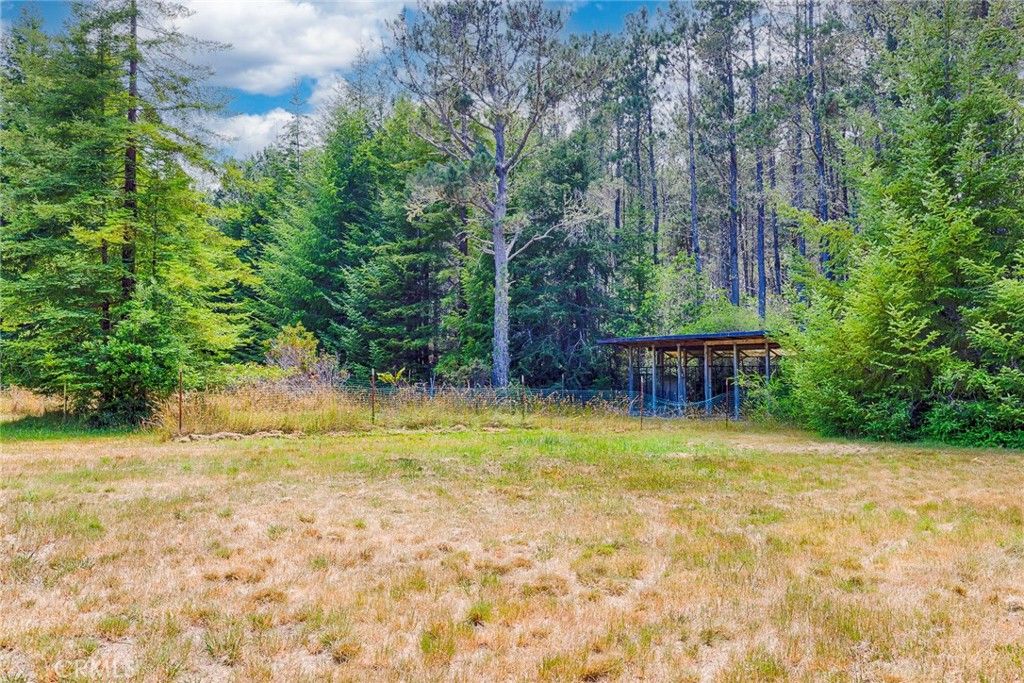 listing image 130724499112632727298