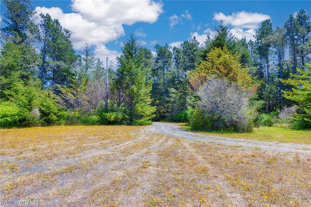 listing image 130726041332401623930