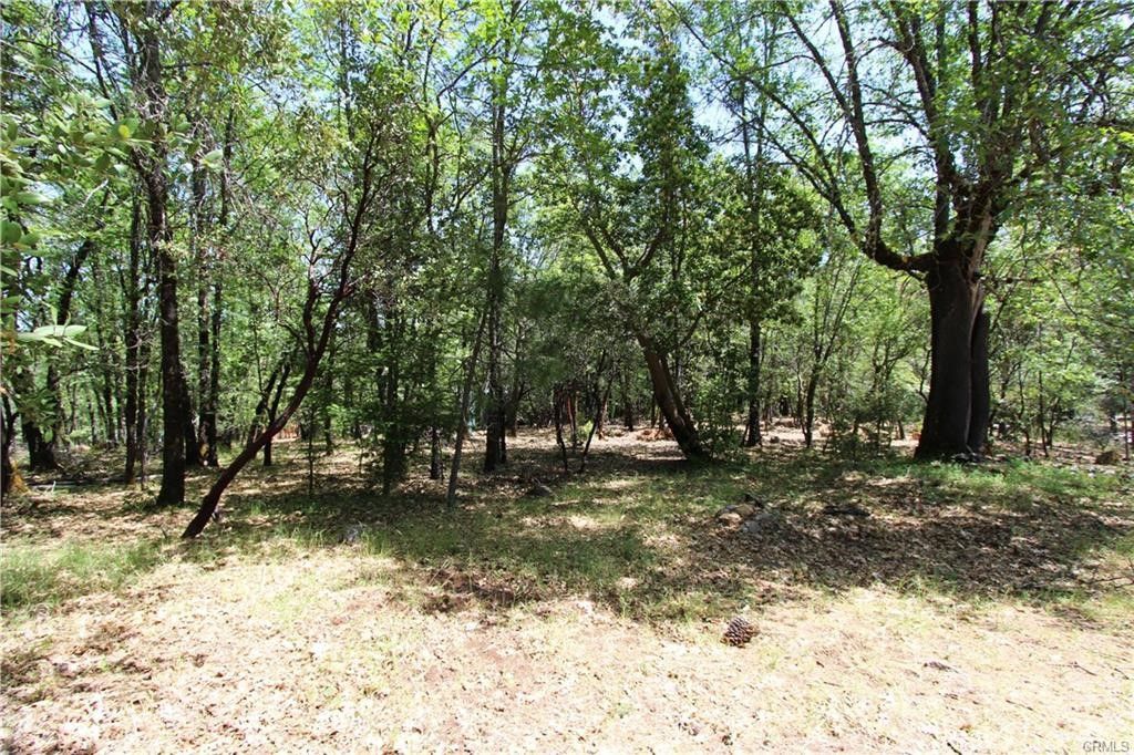 listing image 40