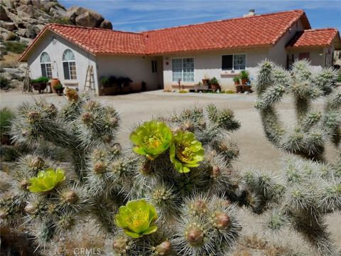 A home in Yucca Valley