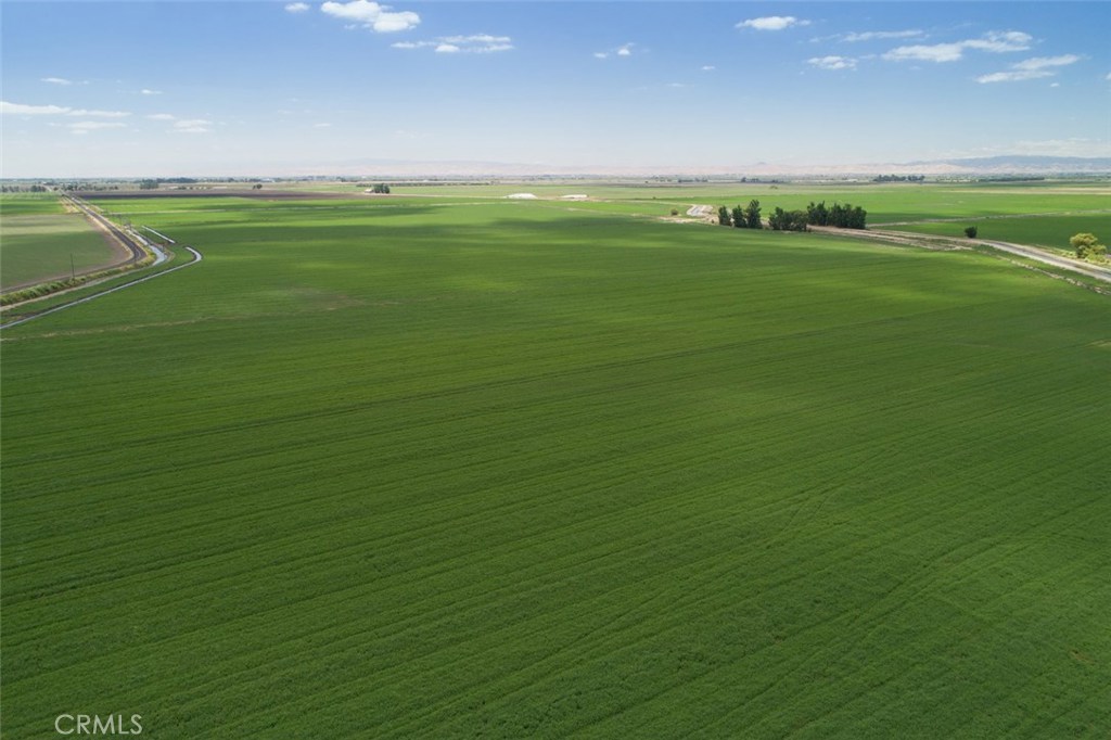 1,277.23 Acre offering of contiguous farm land on Roberts Island of the California Delta.
Water is provided to the property via multiple claimed Riparian and Pre- 1914 water rights and appropriative licenses per seller.
Water is diverted from the main channel of the San Joaquin River into the Black Slough and then onto the property through a series of gate valves.
Currently planted to alfalfa and silage corn, this property has been historically farmed to wheat, alfalfa, safflower and silage corn.
With the potential to improve the property with tile drains, this asset presents itself as a prime permanent crop development candidate. Nearby permanent plantings include almonds, walnuts, wine grapes, olives and blueberries.