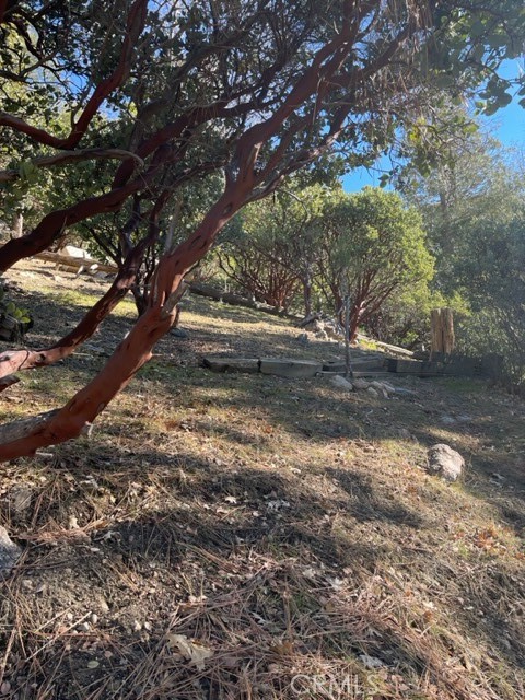 Arrowhead Woods (AWHW) - Land