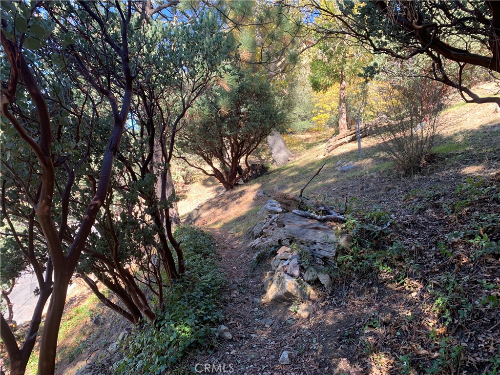 Arrowhead Woods (AWHW) - Land