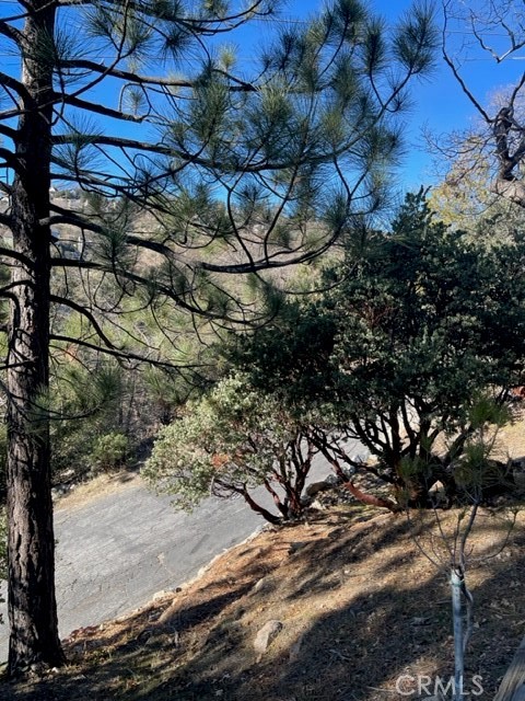 Arrowhead Woods (AWHW) - Land
