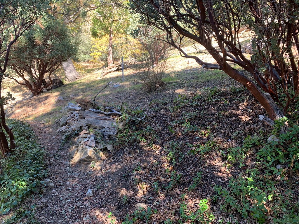 Arrowhead Woods (AWHW) - Land