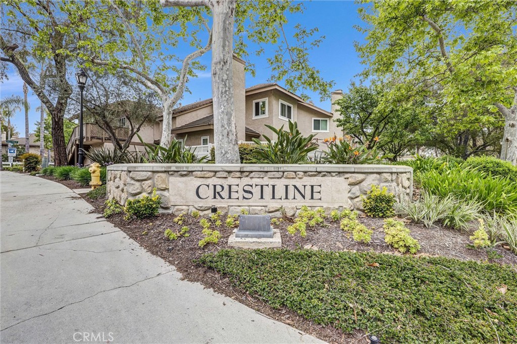 24378 Larchmont Court 67