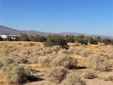 A home in Newberry Springs