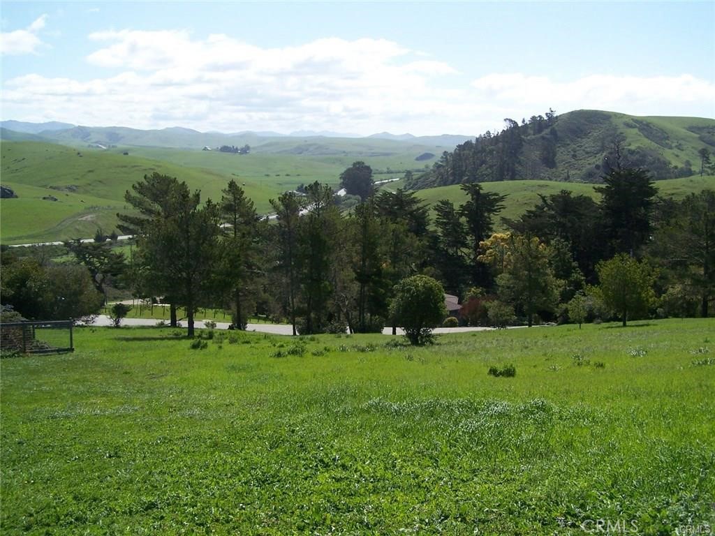 Nearly 1/2 acre on a quiet cul-de-sac, this .44 acre building site offers views to east taking in the Coastal Range. Sunrise and Moonrise are yours every day. To the east is the expanse of large ranches' grazing land. To the southwest you see the Monterey Pine forests of Cambria. View of thousands of acres of Coastal Range, ranch land, will be there for generations to enjoy! GRANDFATHERED WATER meter means you may be able to as soon as the moratorium is lifted. Verify status with CCSD. This huge property will allow you to build a very large, single level, panoramic view home!!! The setting reminds me of Bavaria or the Swiss Alps! Bring your contractor and your realtor. Geotech report and land survey are available. Owner may carry.