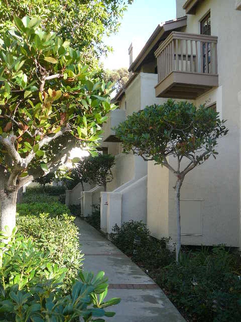 Lovely Canyon Rim town home in park like setting! Best central location for getting to all San Diego has to offer! Great complex with resort style pool and tennis courts! This unit is light and bright! Freshly painted, granite tiles in the kitchen, vaulted ceilings and 3 (tree lined view) balconies and 1 large deck to enjoy all the fresh breezes! Sliding glass doors in the Master with additional walk out balcony! Views of Soledad mountain! 2 car garage! Hurry on this gem! Neighborhoods: Bay Ho Equipment: Dryer, Range/Oven, Washer Other Fees: 0 Sewer: Sewer Connected Topography: LL