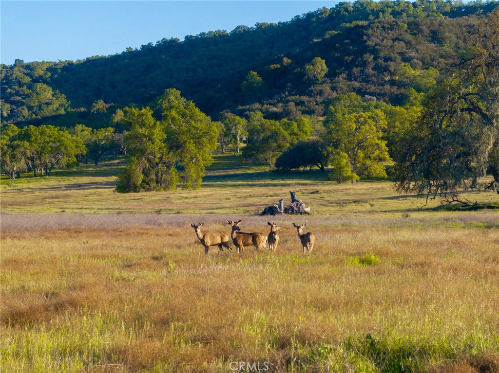 ,Bradley - Residential