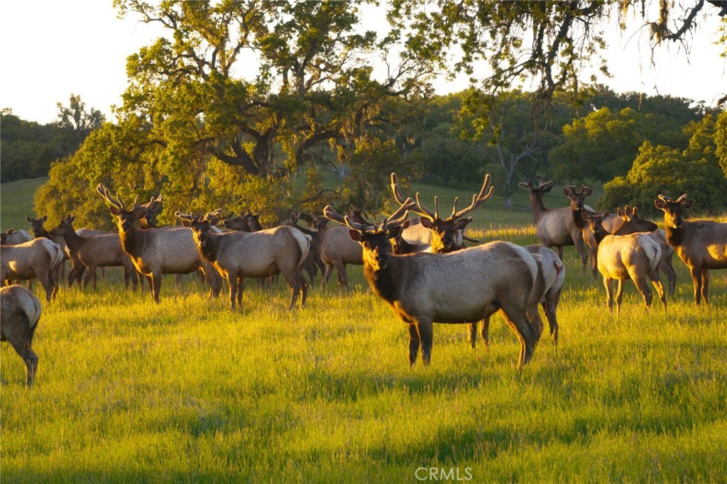 ,Bradley - Residential