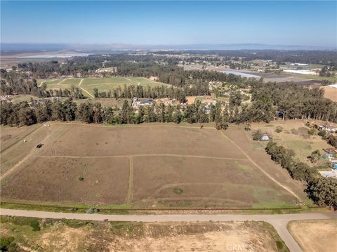 Tiny photo for 161 Lot Scenic View Way, Nipomo, CA 93444 (MLS # PI25053443)