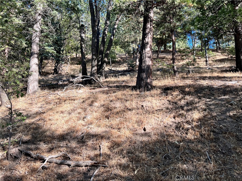 Enchanted Forest (ENFR) - Land