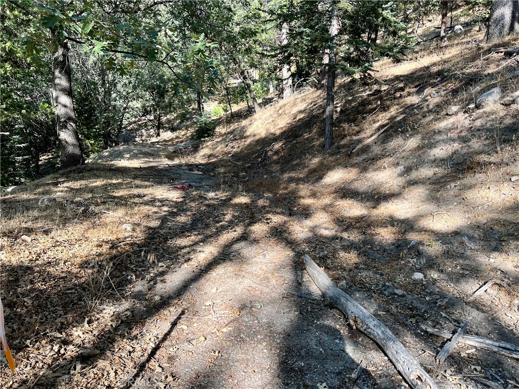 Enchanted Forest (ENFR) - Land