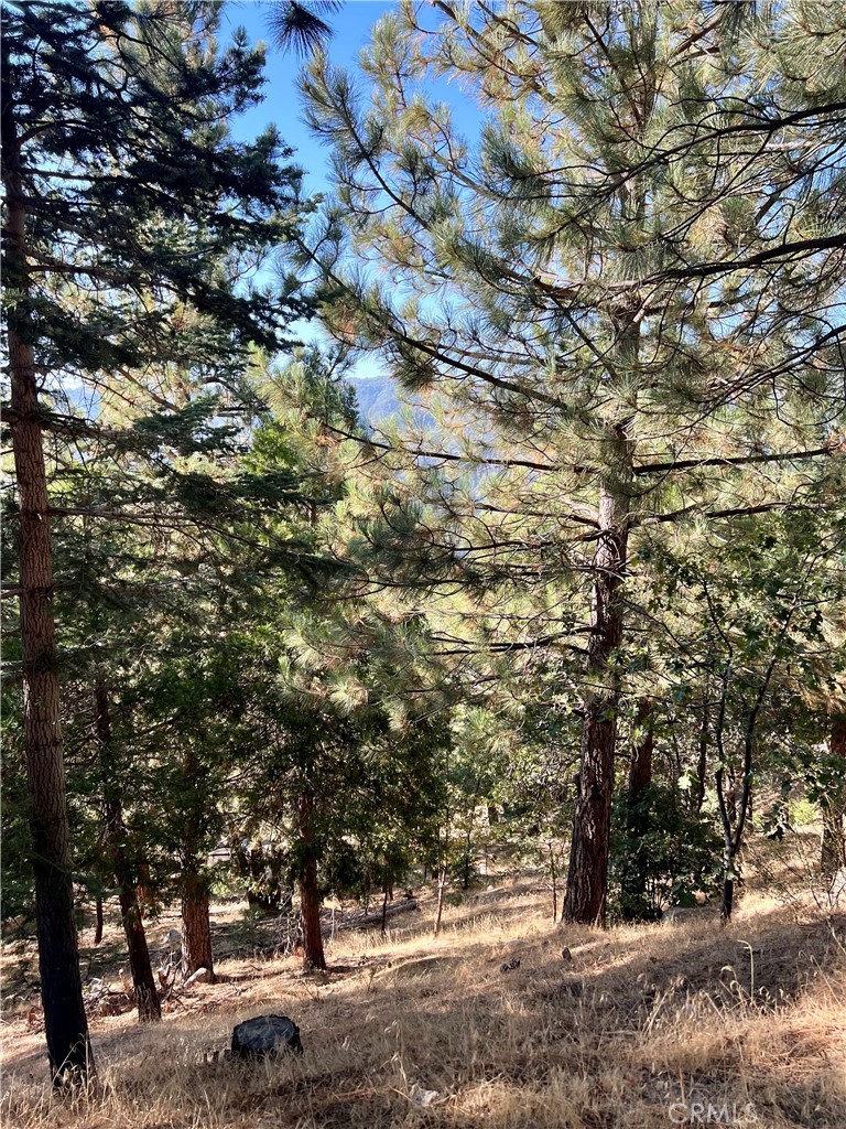 Enchanted Forest (ENFR) - Land