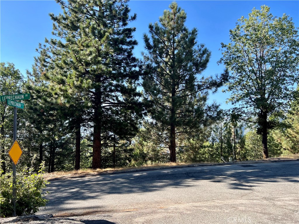 Enchanted Forest (ENFR) - Land