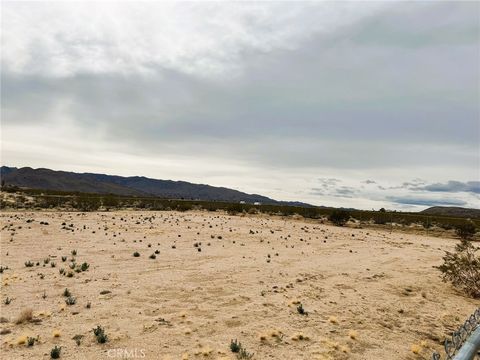 A home in Joshua Tree