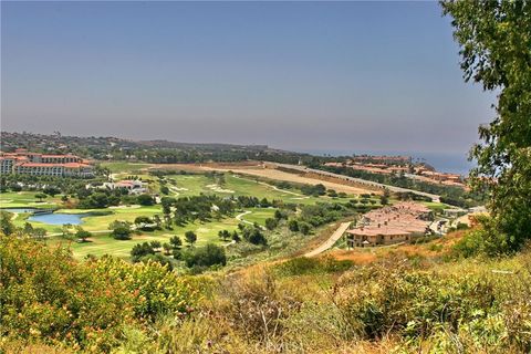 A home in Dana Point