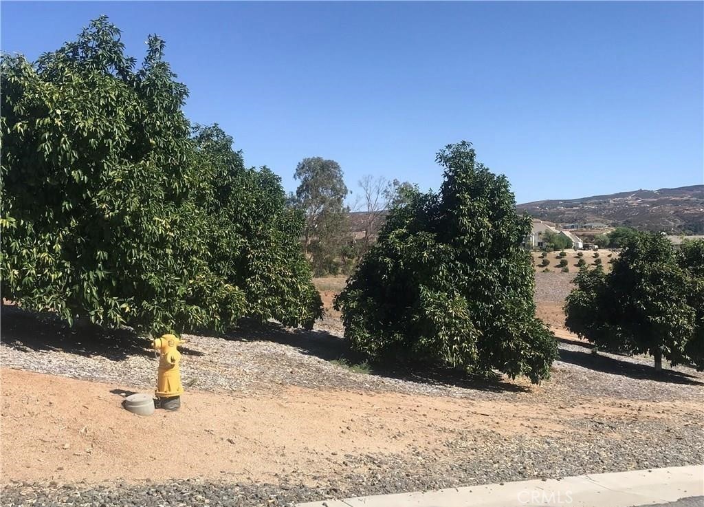 38538 Martin Ranch Road
