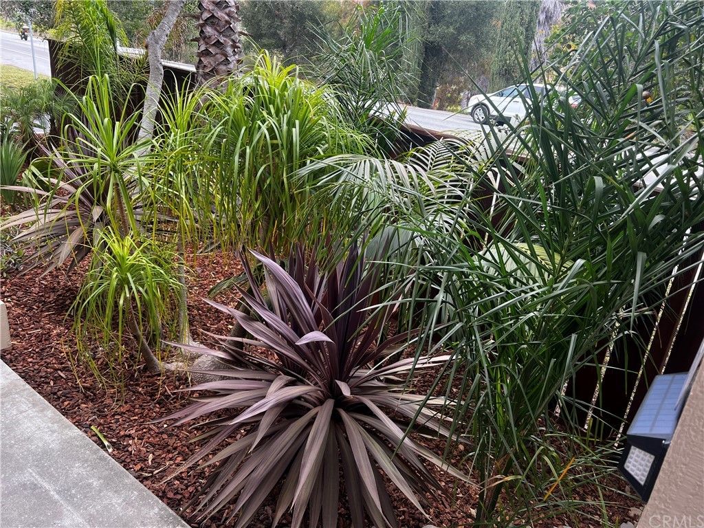 listing image 130727988467474581250