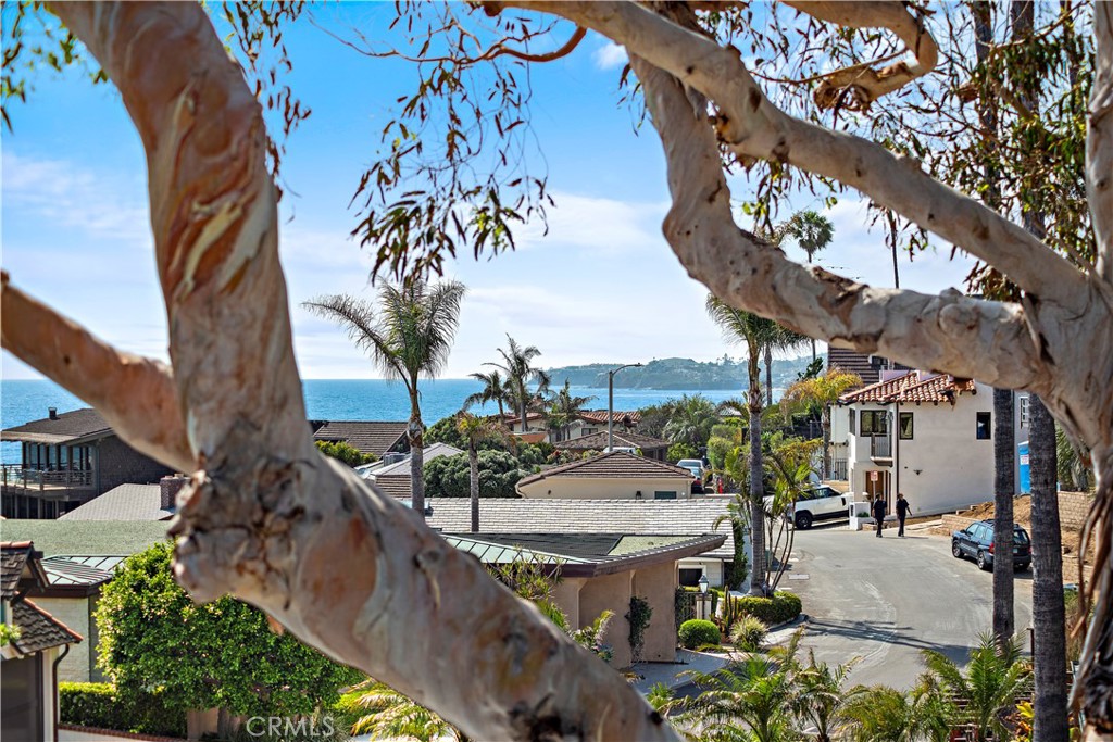 Woods Cove (WC) - Residential