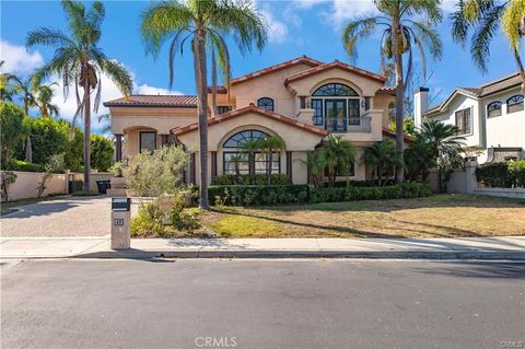 45 S Peak Laguna Niguel CA 92677
