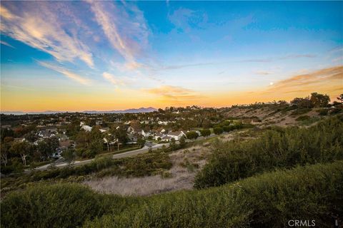 A home in Laguna Niguel