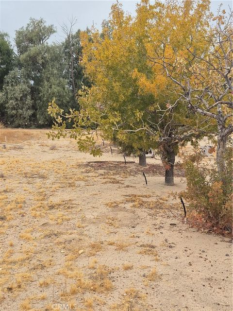 A home in Newberry Springs