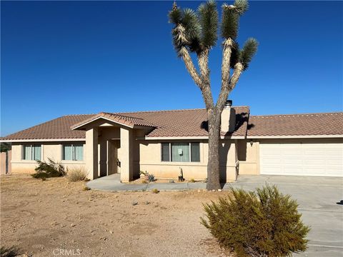 A home in Joshua Tree