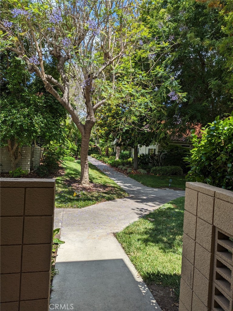 ,Laguna Woods - Residential Lease